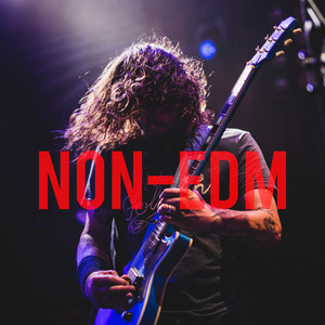 Non-EDM 🌒 playlist cover