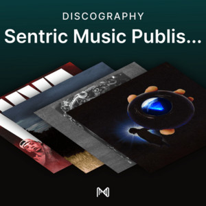 spotify image
