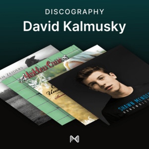 spotify image