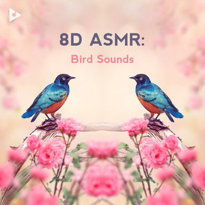 8D ASMR: Bird Sounds