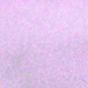 L Ʌ V Σ N | LAVEN TECHNO cover