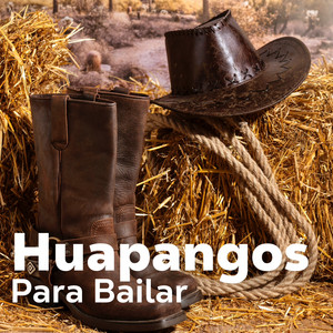 Huapangos Para Bailar - 2026 💃💃 playlist cover