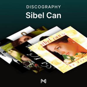 spotify image