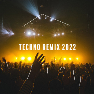 Techno / Remix 2025 playlist cover