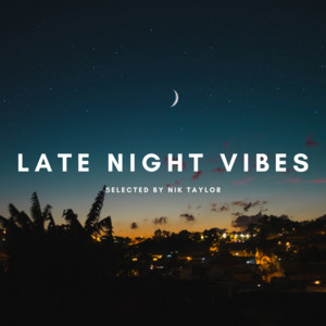 LATE NIGHT VIBES  playlist cover