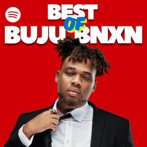 BEST OF BUJU BNXN 2026 (Afrobeats)🏝🔥 playlist cover