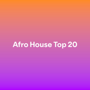 AFRO HOUSE 2025 Spotify playlist cover art