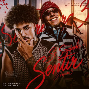 Se Saudade Sentir (Se Prepara 3) playlist cover