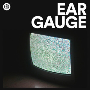 EAR GAUGE