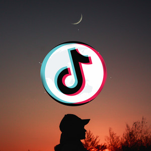 Tik Tok Songs | Top Hits, Dances, EDM playlist cover