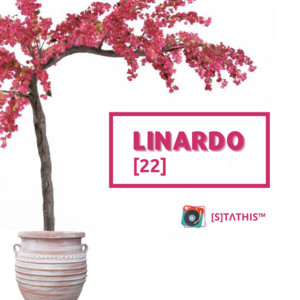 Linardo Paros | [S]TΛΤHIS™ - playlist by Stathis Arvanitakis | Spotify