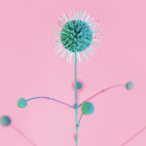 twiste? cover
