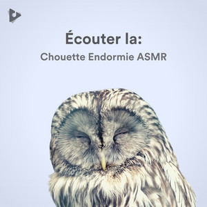 Écouter la: Chouette Endormie ASMR