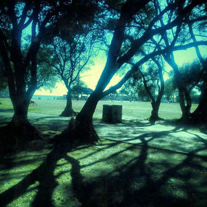 sombras en la lluvia playlist cover