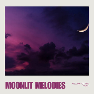 Moonlit Melodies cover