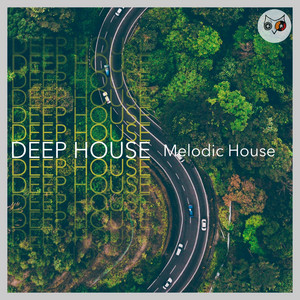 DEEP House 2026 Spotify playlist cover art
