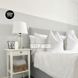 Sleep Mood • Peaceful Mood  playlist cover