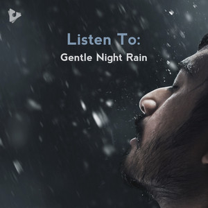 Listen To: Gentle Night Rain