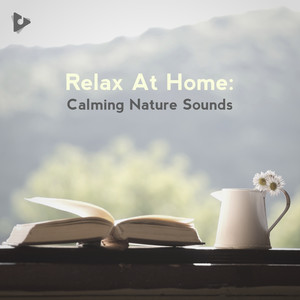 Relax At Home: Calming Nature Sounds
