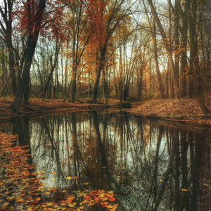 FALL