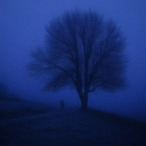 ambient sleep playlist cover