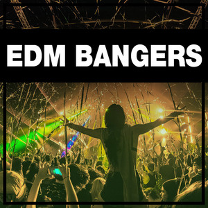 EDM 2026 💥 EDM Bangers playlist cover