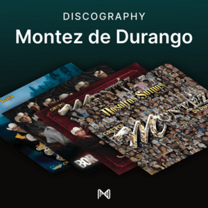 spotify image