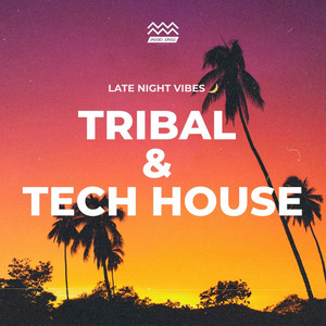 Groovy Tech House & Tribal Beats | Late Night Vibes 🌙