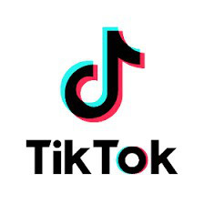 AMAPIANO 2026 TIKTOK - Davido - Shallipopi - Wizkid - Burna Boy - Rema - Arya Star - Dj Maphorisa cover