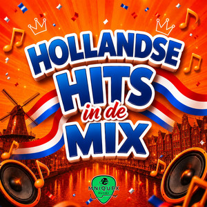 Hollandse Hits in de Mix🇳🇱 playlist cover