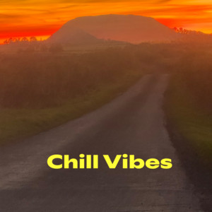 Chill  Vibes
