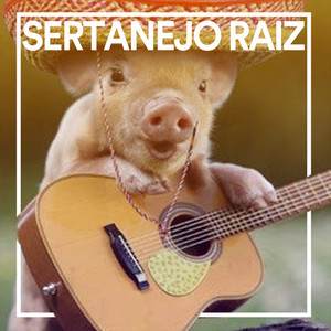 Sertanejo Raiz - Só os Clássicos  playlist cover
