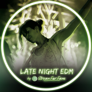 LATE NIGHT EDM by streamforfame.com cover