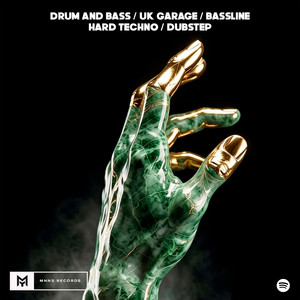 Drum and Bass / UK Garage / Bassline Hard Techno / Dubstep