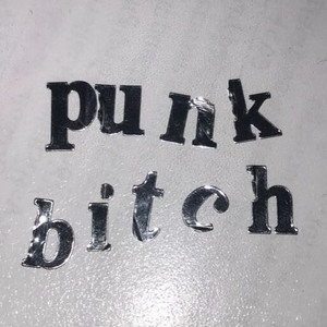 Punk Bitch cover
