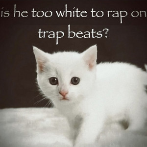 jerk rap and soundcloud hoes