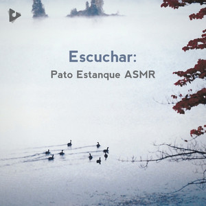 Escuchar: Pato Estanque ASMR