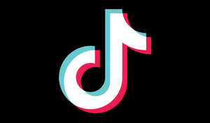 renagade tiktok cover