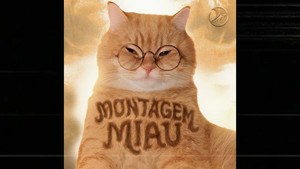 MONTAGEM MIAU - 1 HOUR artwork