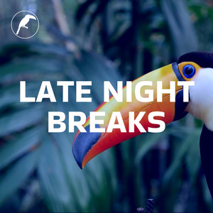 Late Night Breaks