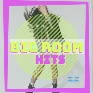 BIG ROOM HITS playlist cover