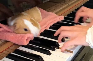 My Own Peaceful Piano