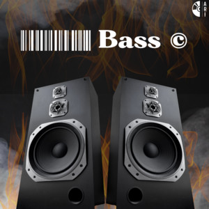 bass © playlist cover