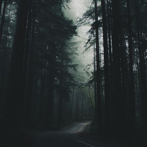 another twilight playlist  cover