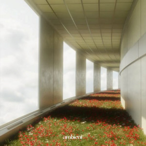 ambient ݁₊ ⊹ . ݁˖ cover