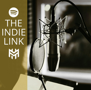 The Indie Link 🌍 | Best Independent Artists Worldwide  playlist cover