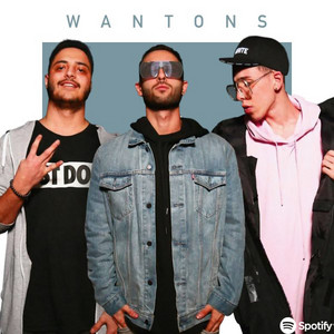 Wantons ( Arta - Koorosh - Sami low - Raha ) playlist cover