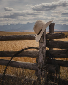 The best Country Music playlist cover