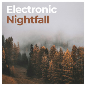 Electronic Nightfall | A Curated Journey in Modern Electronica Spotify playlist cover art