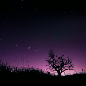 Psychedelic, ambient and experimental folk